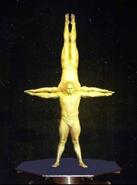 Software: Microsoft Office